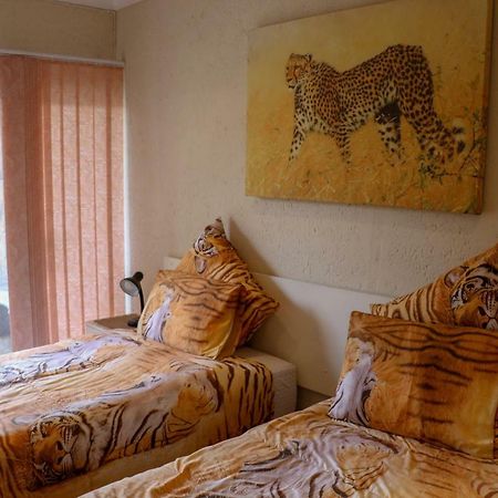 Rock Art Guesthouse Witbank Exteriér fotografie